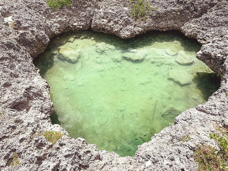 Elegant/Pool/Hot Tub/Beach