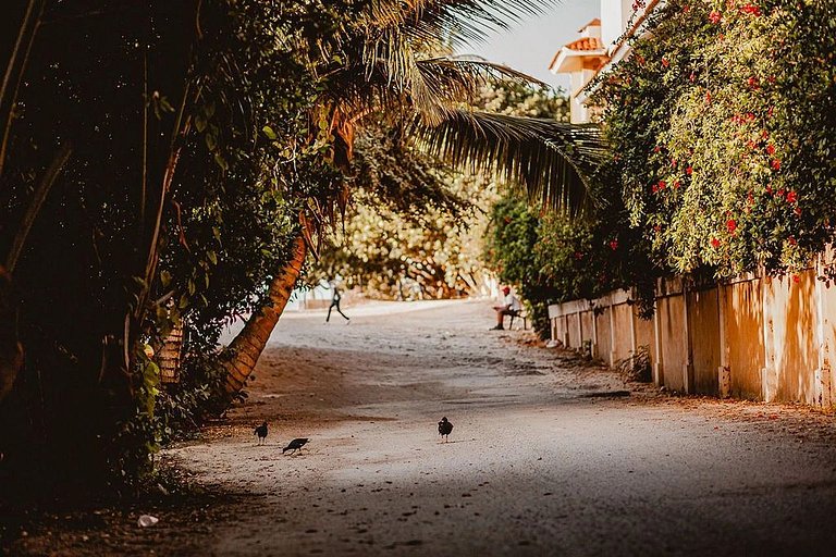 Elegant/Pool/Hot Tub/Beach